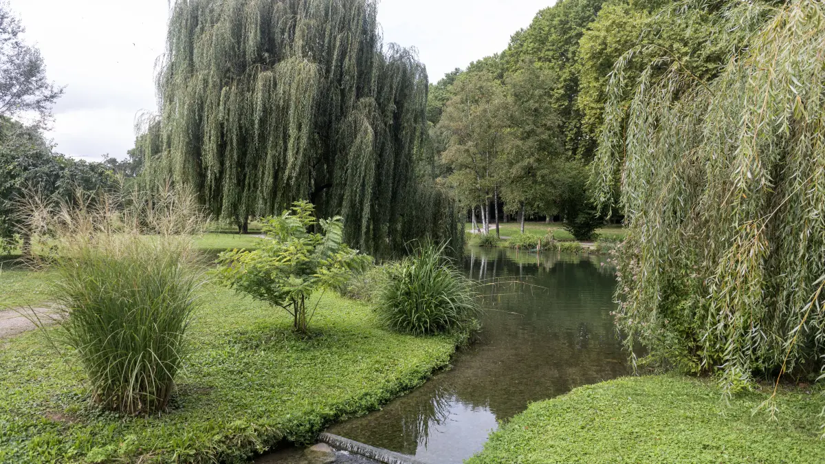 Stuttgart Baden Württemberg Germany 13th September 2024 Unterer Schlossgarten, Lower Castle Gardens. Water feature. A brook meanders through the park. gardens, garten, city, park, river, stream, brook,