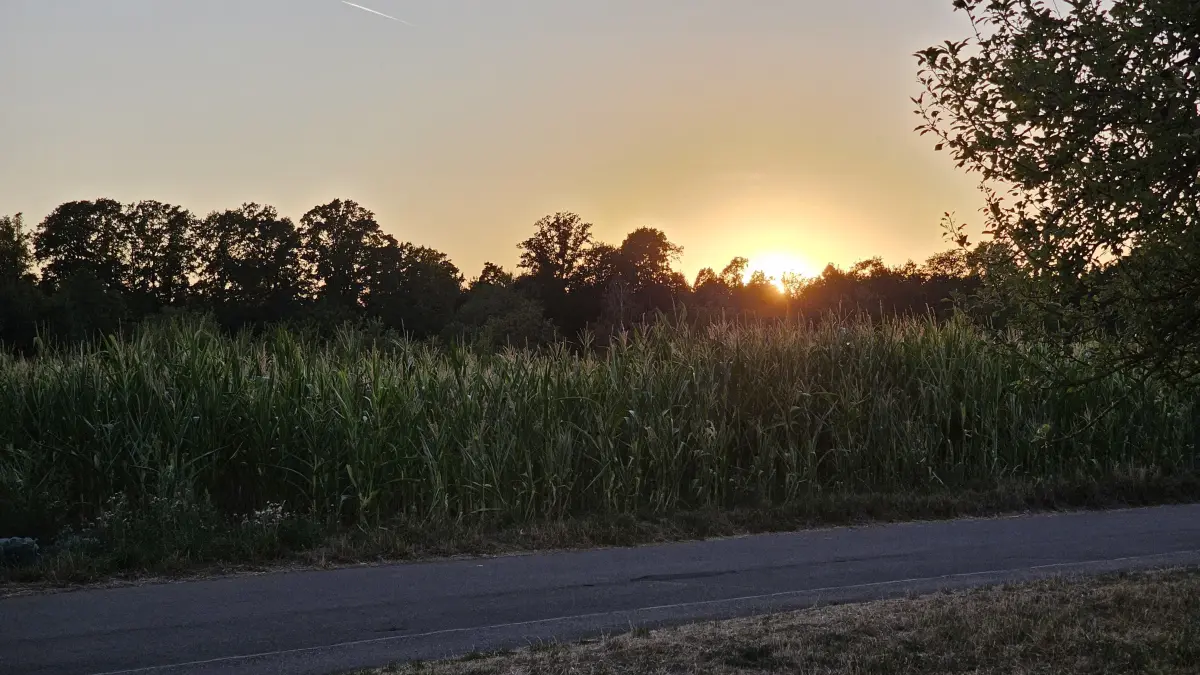 Impressionen von der Sonnenfinsternis in Stuttgart.