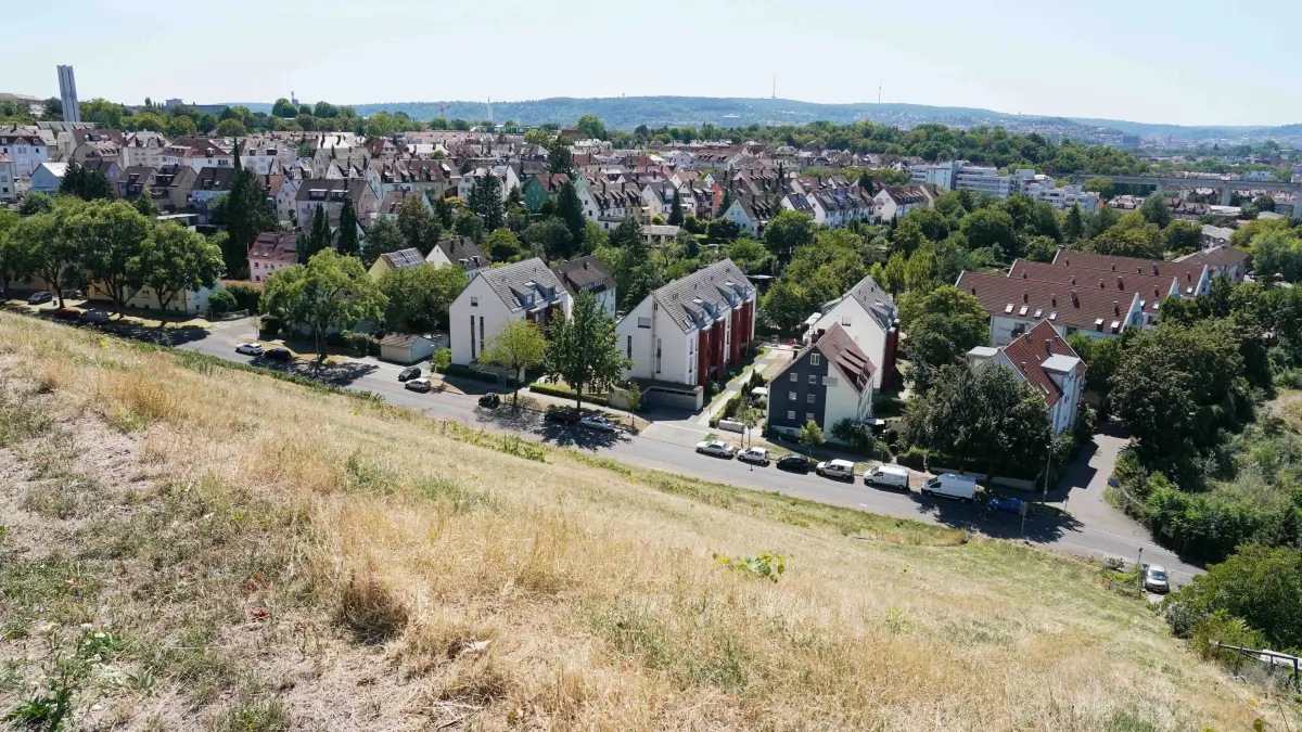 Stuttgart ueberall gut sehen die Spuren der Hitze und Trockenheit, Baeume leiden, Wiesen und sogar am Weinberg fehlt der Regen.
Foto Andreas Rosar Fotoagentur-Stuttgart 12.08.2026