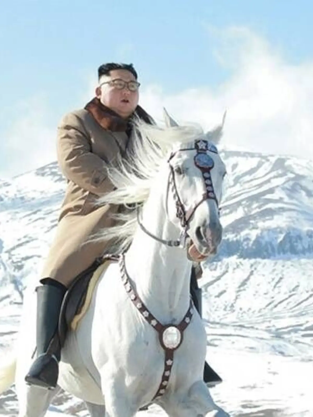 Der Unberechenbare: Wie sein vater Kim Jong-Il gehört auch Nordkoreas jugendlicher Diktator Kim Jong-Un zur Beton-Frisurfraktion. Seine areodynamische, schwarz-(gefärbte?) Tolle ist genauso irre schnittig wie seine Politik.
