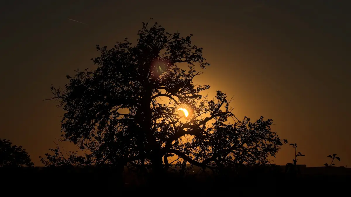 Sonnenfinsternis Stuttgart und Region