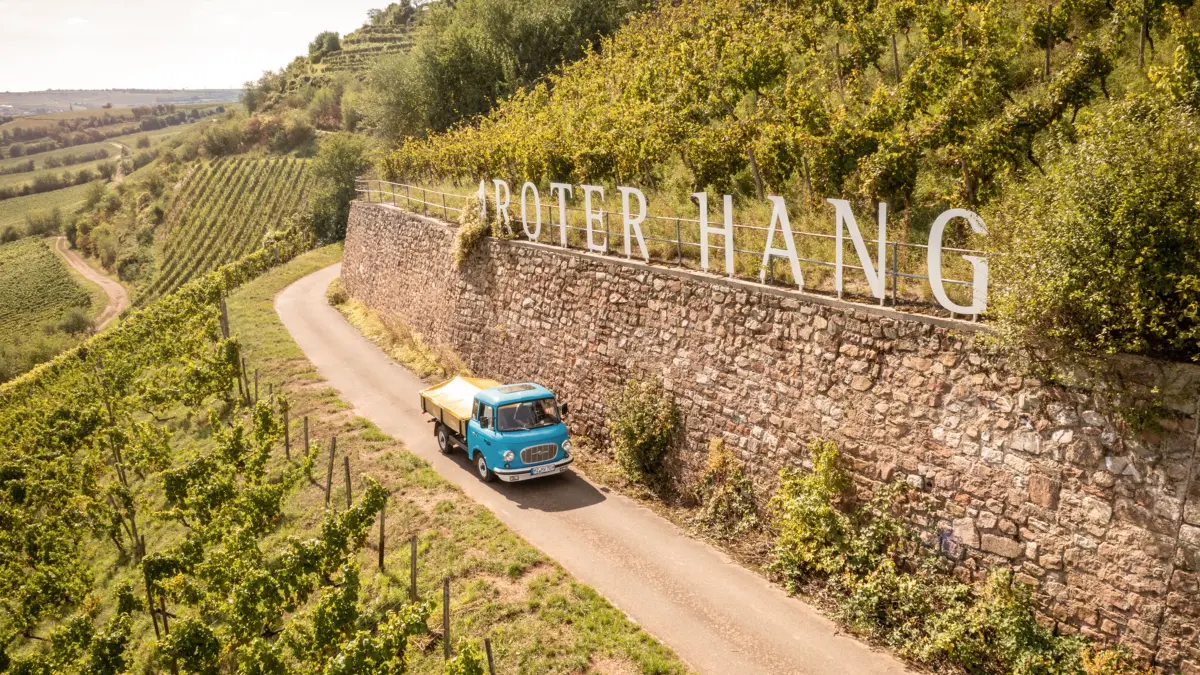 Berühmte Weinlage: der Rote Hang in Rheinhessen.