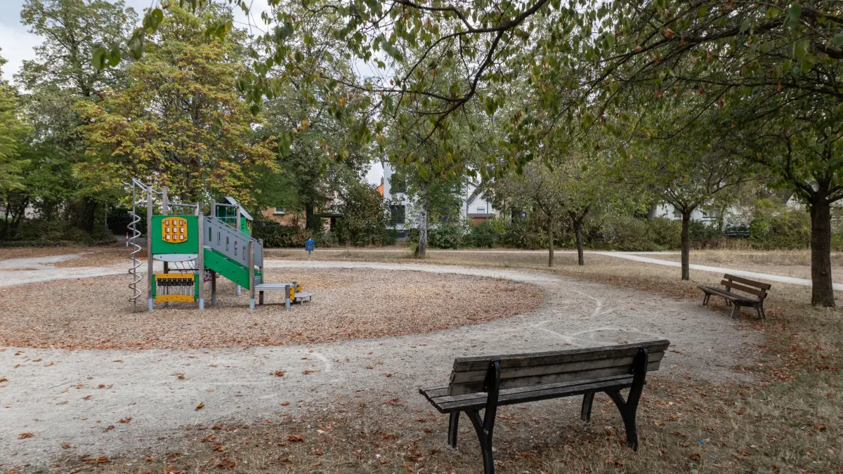 Ebersbach Neugestaltung Alleenpark, es wird konkreter
