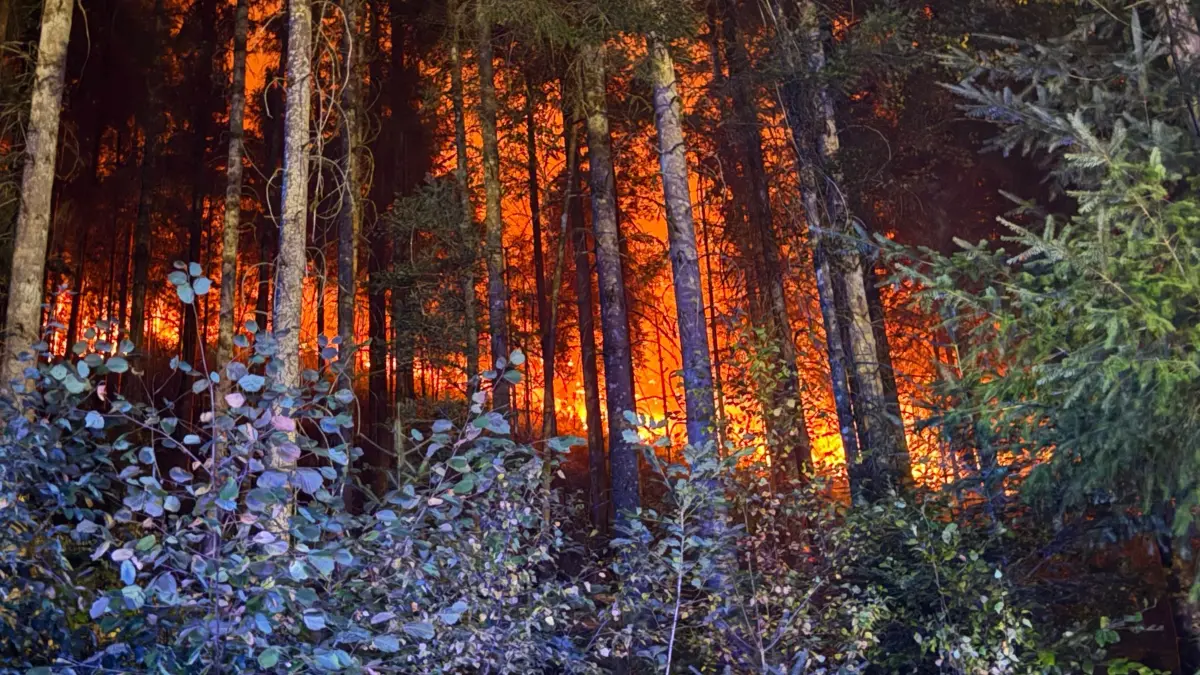 Waldbrand bei Schramberg: HANDOUT - 16.08.2026, Baden-Württemberg, Schramberg: Flammen schlagen in einem Wald nahe Schramberg im Landkreis Rottweil in die Höhe. Die Flammen am Hang würden von drei Seiten bekämpft. Dadurch habe bislang verhindert werden können, dass sich der Brand vor allem in Richtung eines angrenzenden Wohngebiets ausbreite, teilte die Feuerwehr mit. Foto: Marius Daute/Feuerwehr Rottweil/dpa - ACHTUNG: Nur zur redaktionellen Verwendung im Zusammenhang mit der aktuellen Berichterstattung und nur mit vollständiger Nennung des vorstehenden Credits +++ dpa-Bildfunk +++