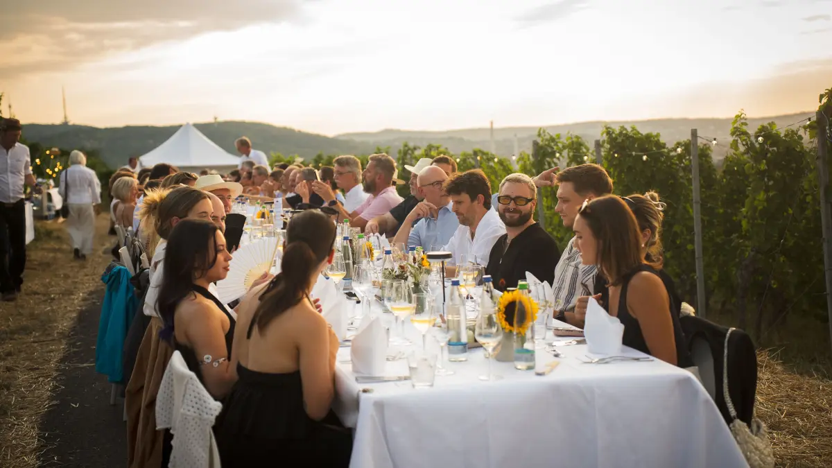 Weinberg Tafel Collegium Wirtemberg