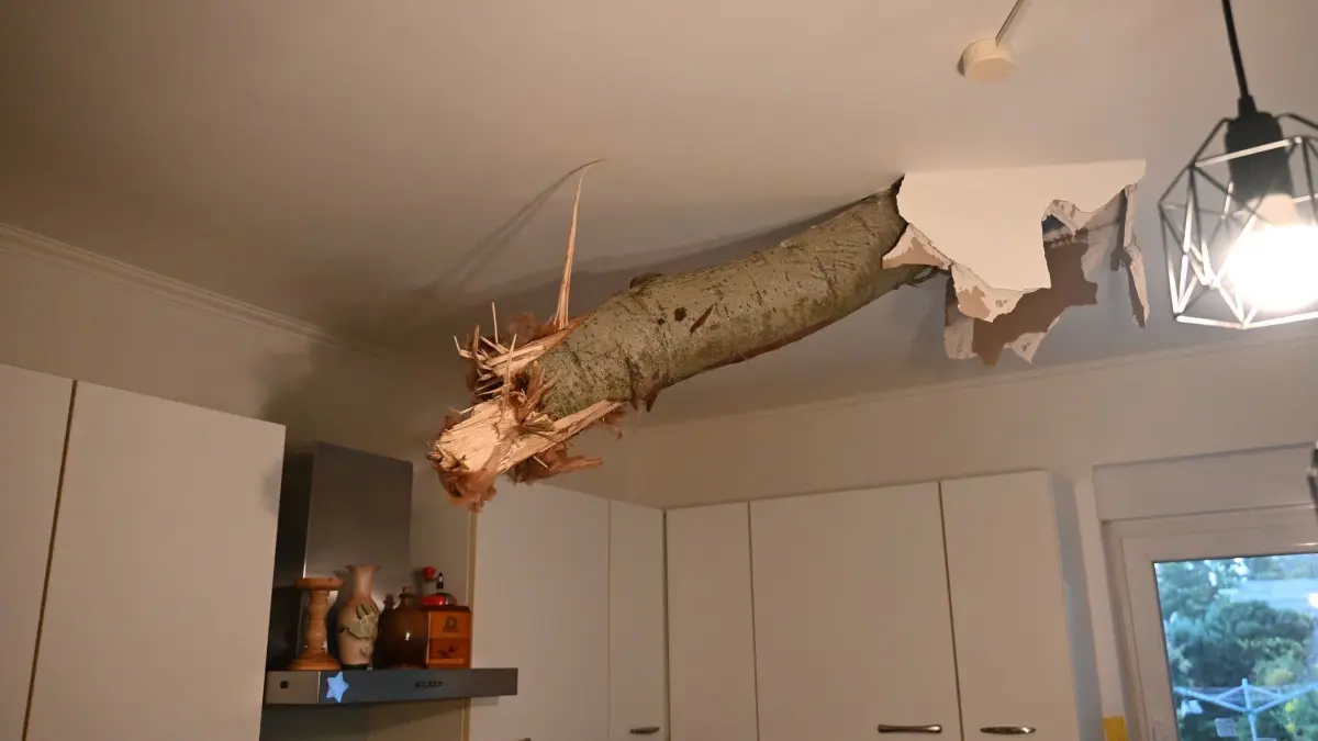 Unwetter in Fürstenwalde: 19.08.2026, Brandenburg, Fürstenwalde/Spree: Ein Baumstamm ragt nach einem Unwetter in Fürstenwalde-Süd aus der Decke in der Küche eines Wohnhauses. Bei einem Unwetter sind mehrere Bäume umgestürzt und Autos beschädigt worden. Foto: Sappeck/BLP/dpa +++ dpa-Bildfunk +++
