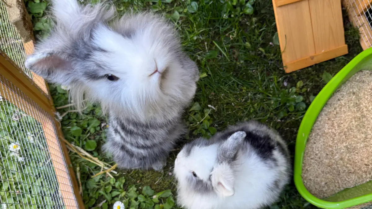 Otto und Roswita genießen ihr neues Zuhause.