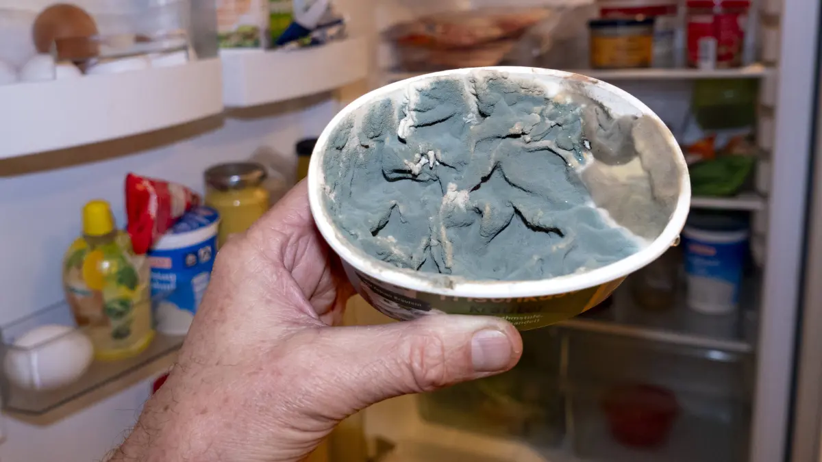 Vorsicht toxisch! Dieser verschimmelte Frischkäse aus dem Kühlschrank sollte sofort entsorgt werden.