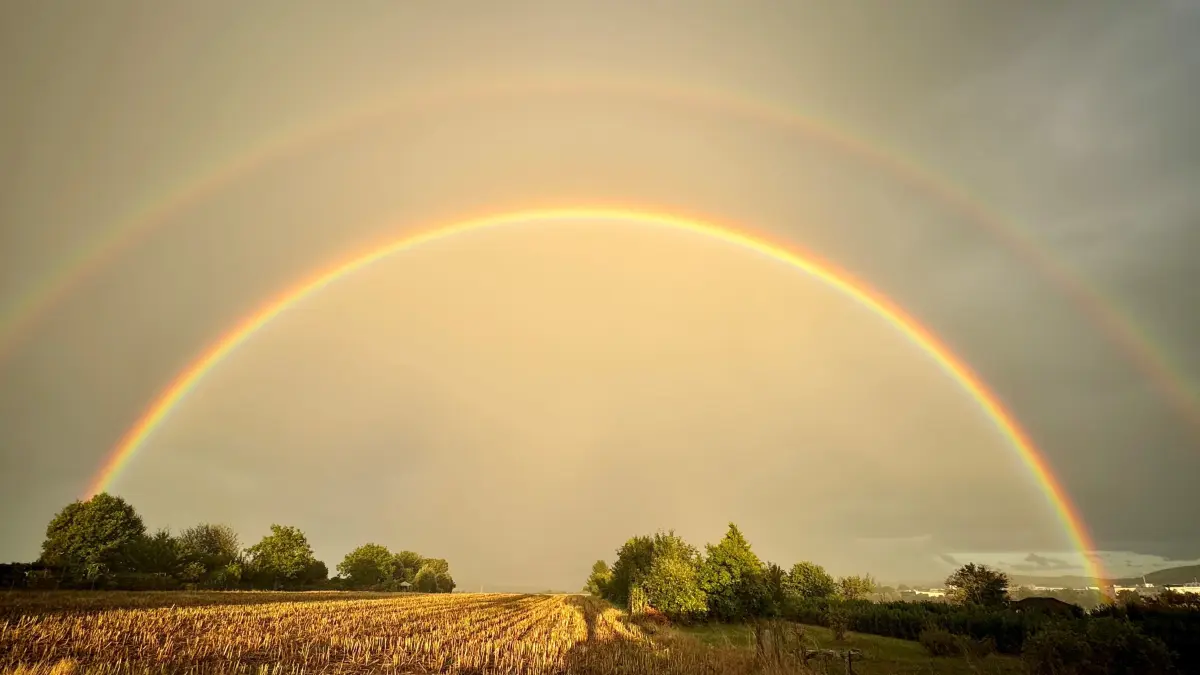 Regenbogen über Fellbach