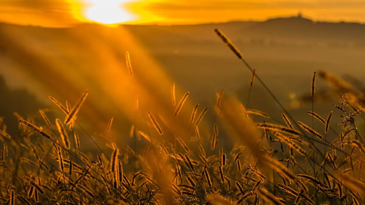 Spätsommer in Kreis Ludwigsburg