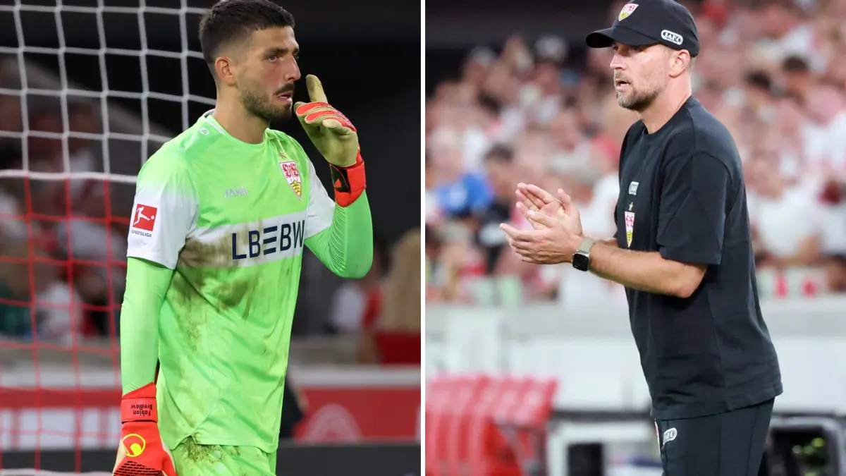 VfB Stuttgart in the Champions League: Live: Hoeneß and Bredlow on the ...