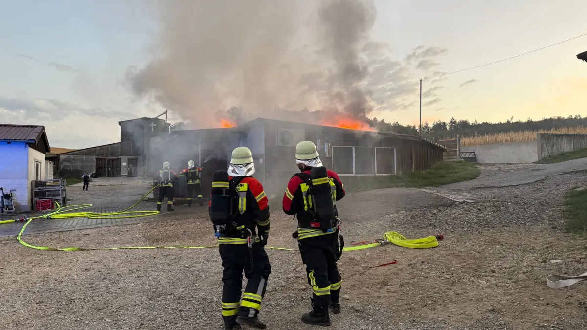 Brand