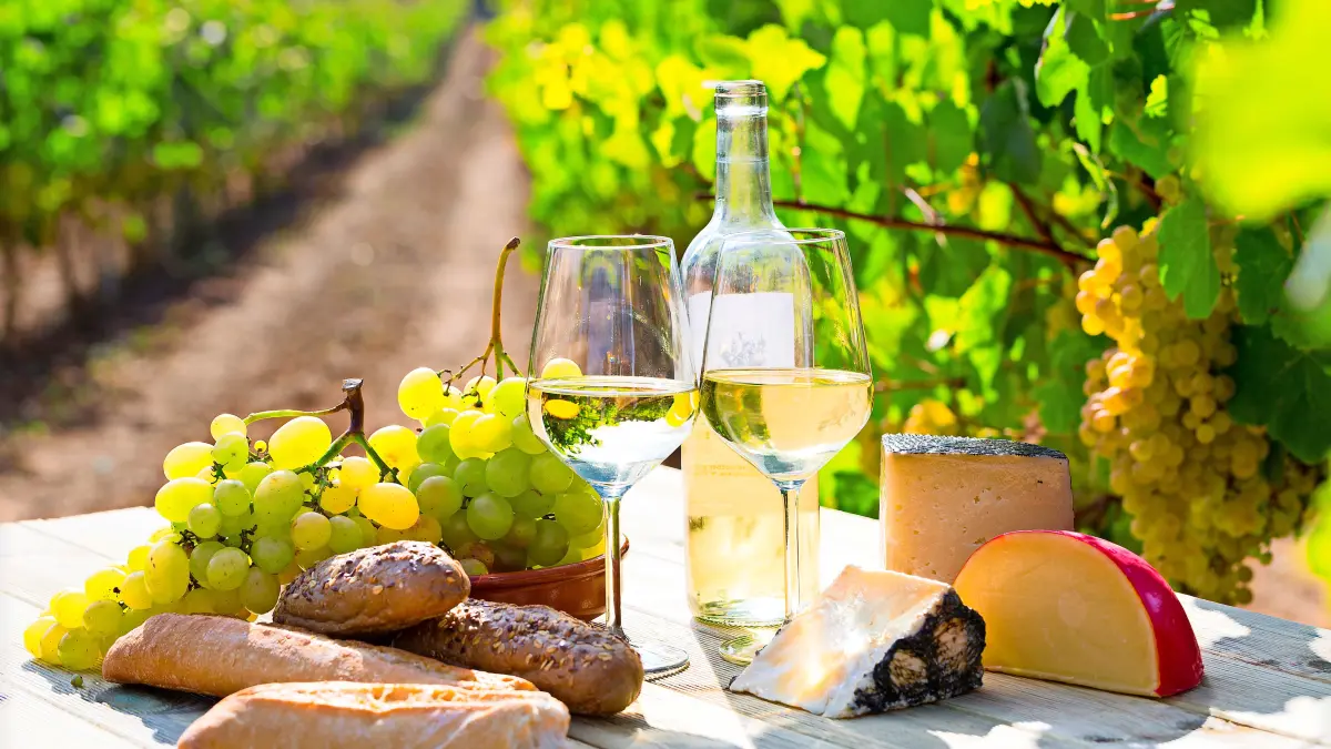 Two wineglasses of white wine with baguette, various types of cheese on vineyard background xkwx vineyards grape vines white glasses bottle wine winery cheese hard Dutch bread loaf viticulture leaf plate delicious wood gourmet juice landscape france Switzerland countryside culture drink European harvest growing travel gastronomy board sunshine farmland still life provence outside picnic agriculture scenic two branch goblet