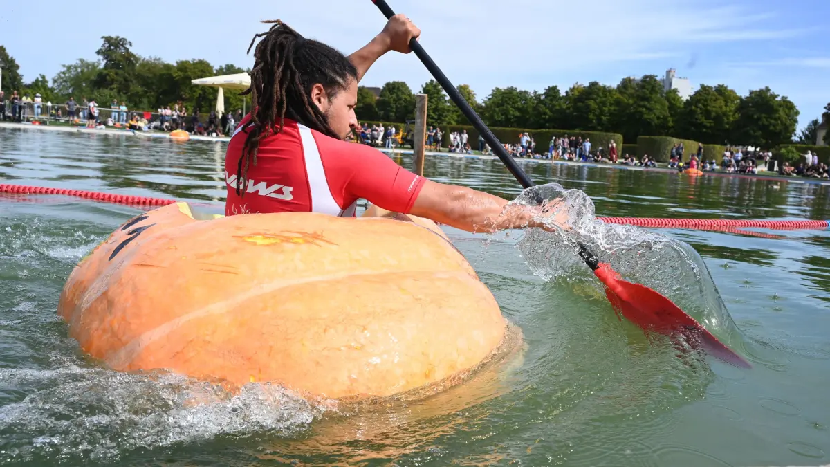 Blühba LB
Kürbisregatta
2036