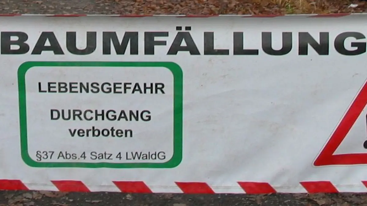 Halt: Baumfällungen