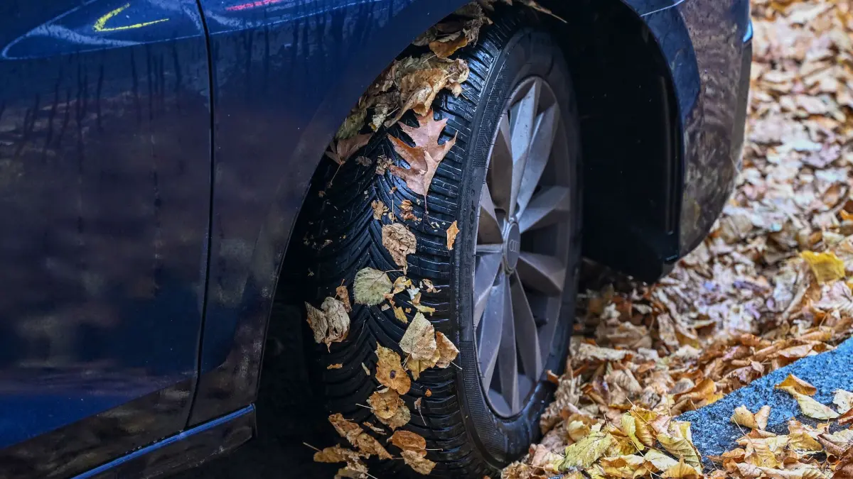 Ein Auto mit einem Ganzjahresreifen im Herbstlaub: ARCHIV - Bequemer Kompromiss: Ganzjahresreifen passen laut AvD vor allem, wenn der Winter meist mild bleibt – fürs Skigebiet oder den heißen Sommertrip lieber Spezialreifen. (zu dpa: «Diese Ganzjahresreifen haben im Test die Nase vorn») Foto: Jens Kalaene/dpa/dpa-tmn - Honorarfrei nur für Bezieher des dpa-Themendienstes +++ dpa-Themendienst +++
