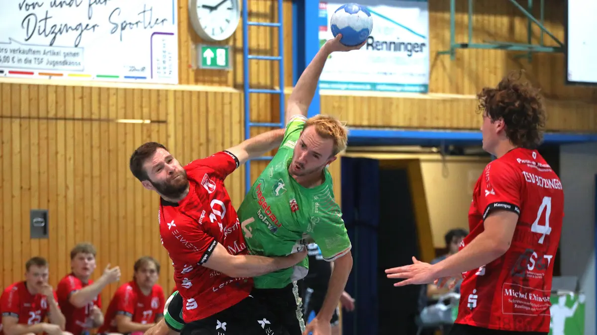 Luis Hönninger, TSF Ditzingen Handball