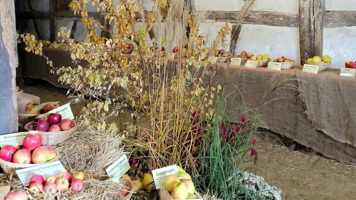 Mostfest Freilichtmuseum Beuren