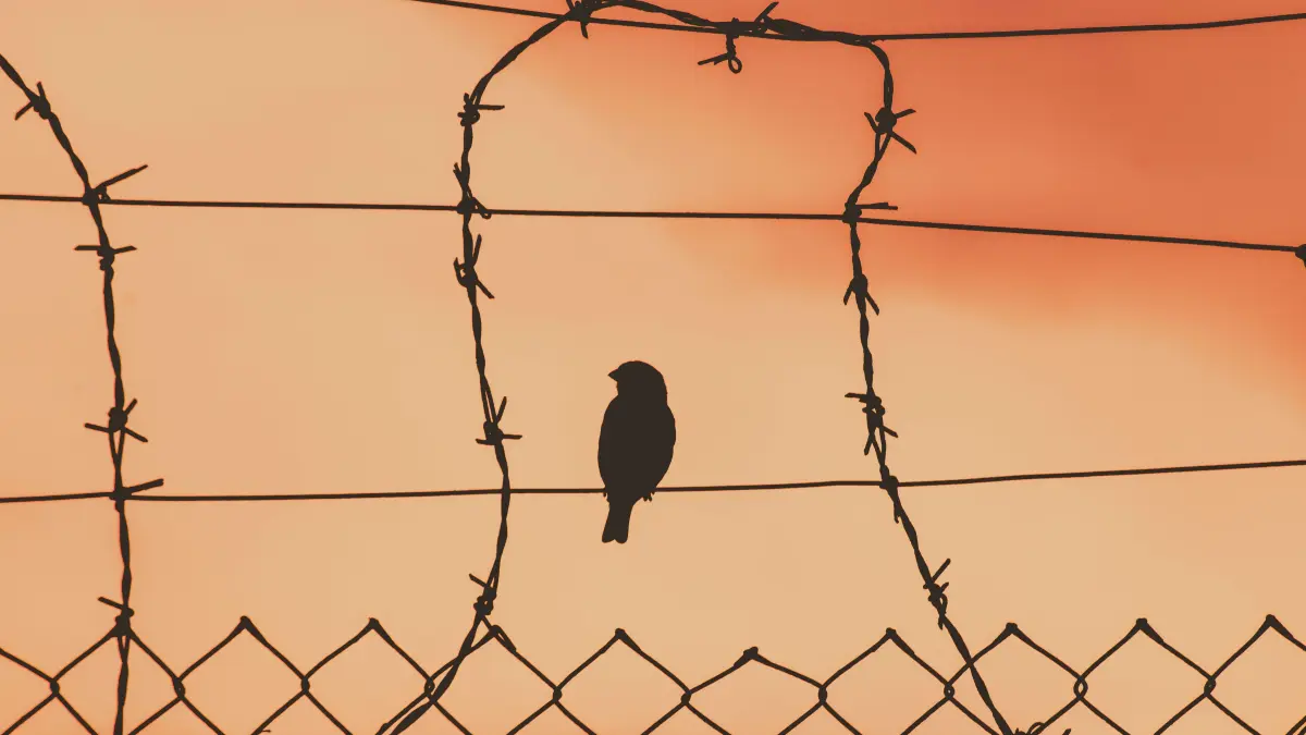 Frei wie dieser Vogel sollen sich auch die Menschen bewegen, wünscht sich unser Autor.