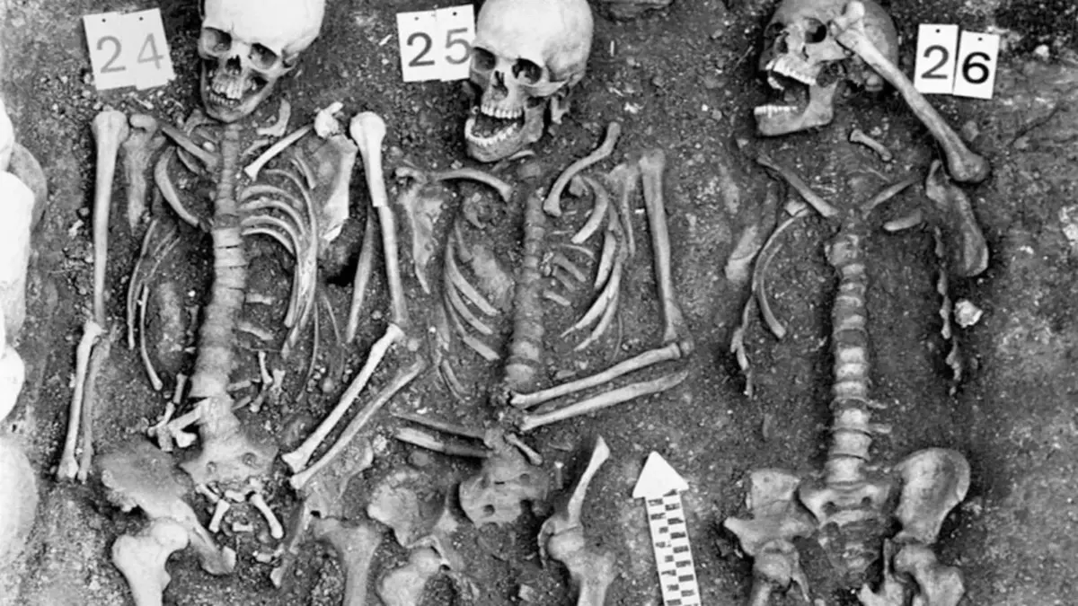 Gemeinschaftsgrab von Pestopfern auf dem Friedhof Sogn Pieder in Domat/Ems in der Schweiz. Die Bestattung wird mit einer Pestepidemie während des Dreißigjährigen Krieges um 1629 bis 1631 in Verbindung gebracht. Aus den Überresten von Individuum 24 konnte das vollständige Genom von Yersinia pestis rekonstruiert werden