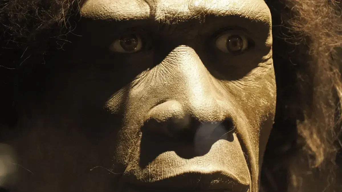 Bereits vor 1,5 Millionen Jahren machten sich Gruppen des Homo erectus auf und verließen Afrika.