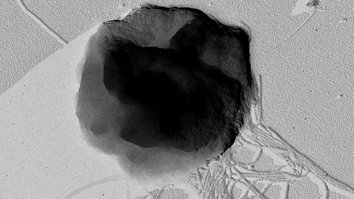 Der Mikroorganismus Methanothermococcus okinawensis