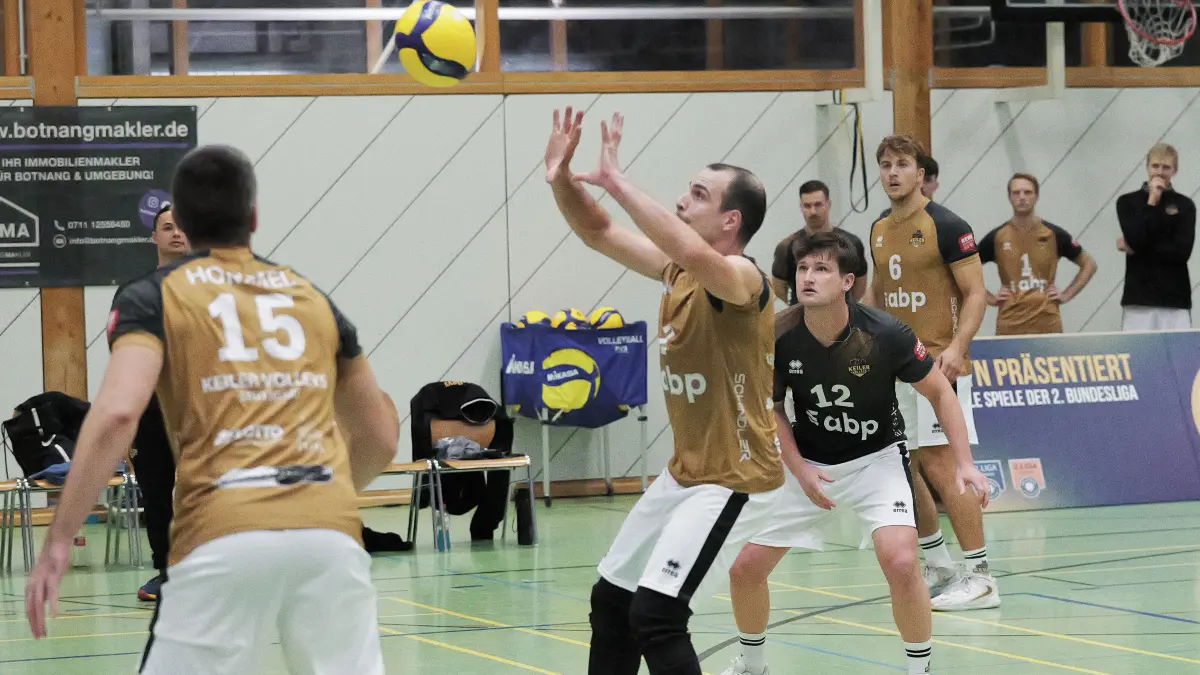Volleyball, 2. Bundesliga, Herren 1, ASV Botnang - L.E. Volleys: Volleyball, 2. Bundesliga, Herren I, ASV Botnang - L.E. Volleys
Nr.2 (B): Moritz Rauber - braun/schwarz
Fotograf: Günter E. Bergmann - Photography
Aufnahmedatum: 03.10.2026