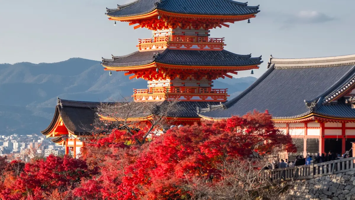 Weniger bekannt als die japanische Kirschblüte, doch mindestens genauso schön: die Herbslaubfärbung „Momiji” in Japan.