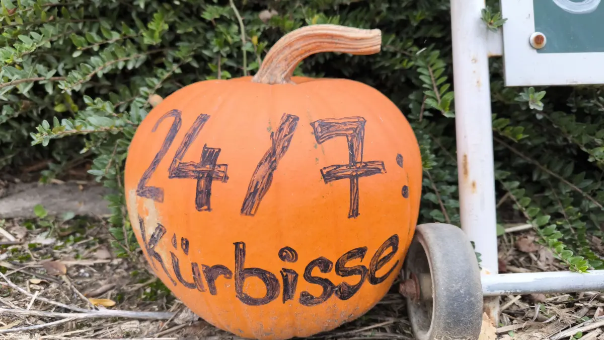 Kürbisse Halloween Verkauf