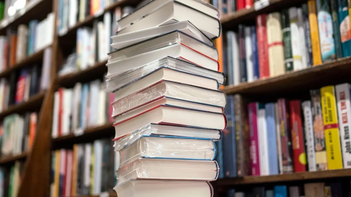 Nach heftiger Kritik im Netz: Sindelfinger Verlag zieht ...