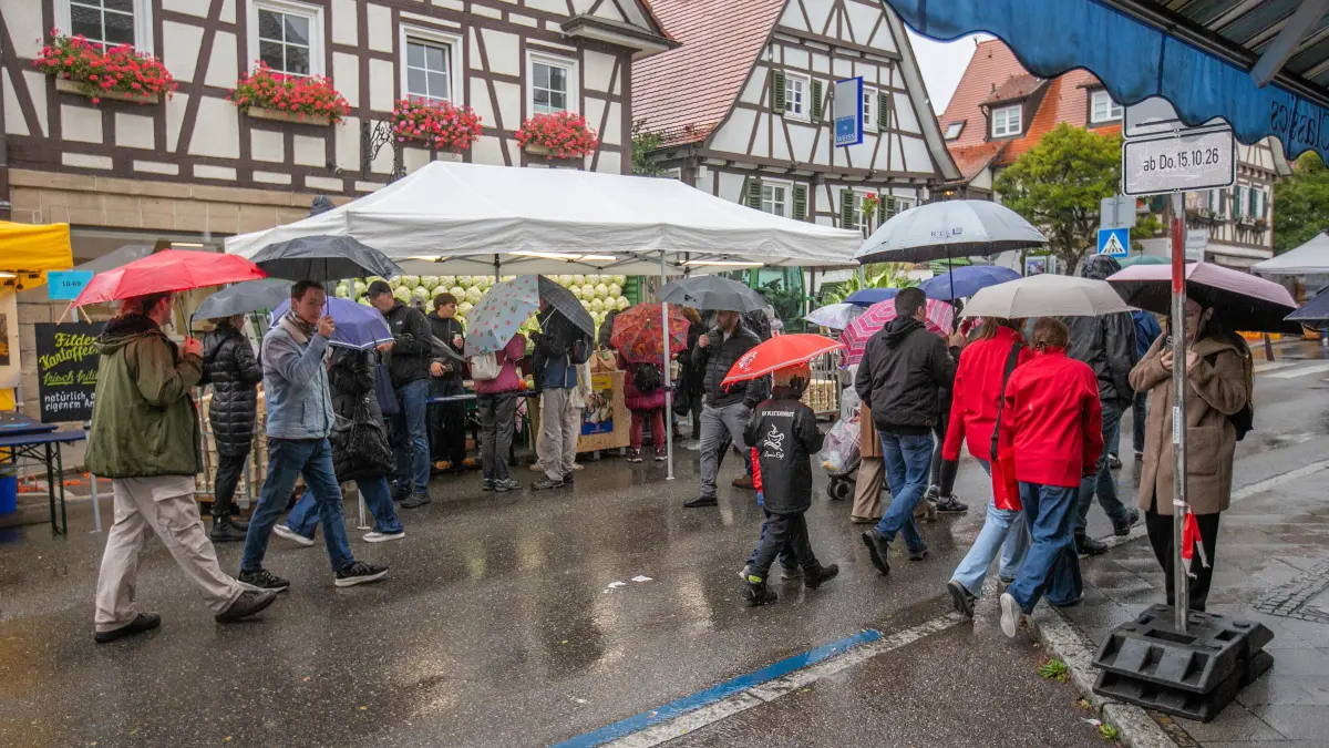 foto: Roberto Bulgrin
17. 10. 2026
Leinfelden- Echterdingen, Krautfest
