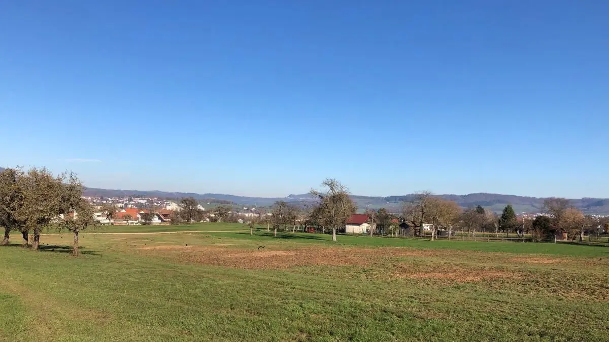 Eislingen-Süd Streuobstwiese nach erheblichem Kahlschlag