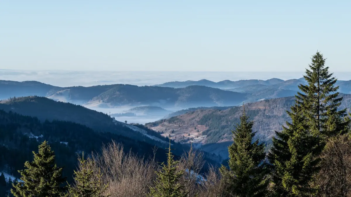 Wetter in Baden-Württemberg: Die Berge und Täler sind im Morgenlicht vom Feldberg im Schwarzwald aus zu sehen. (zu dpa: «Wo diese Woche die ersten Schneeflocken fallen»)