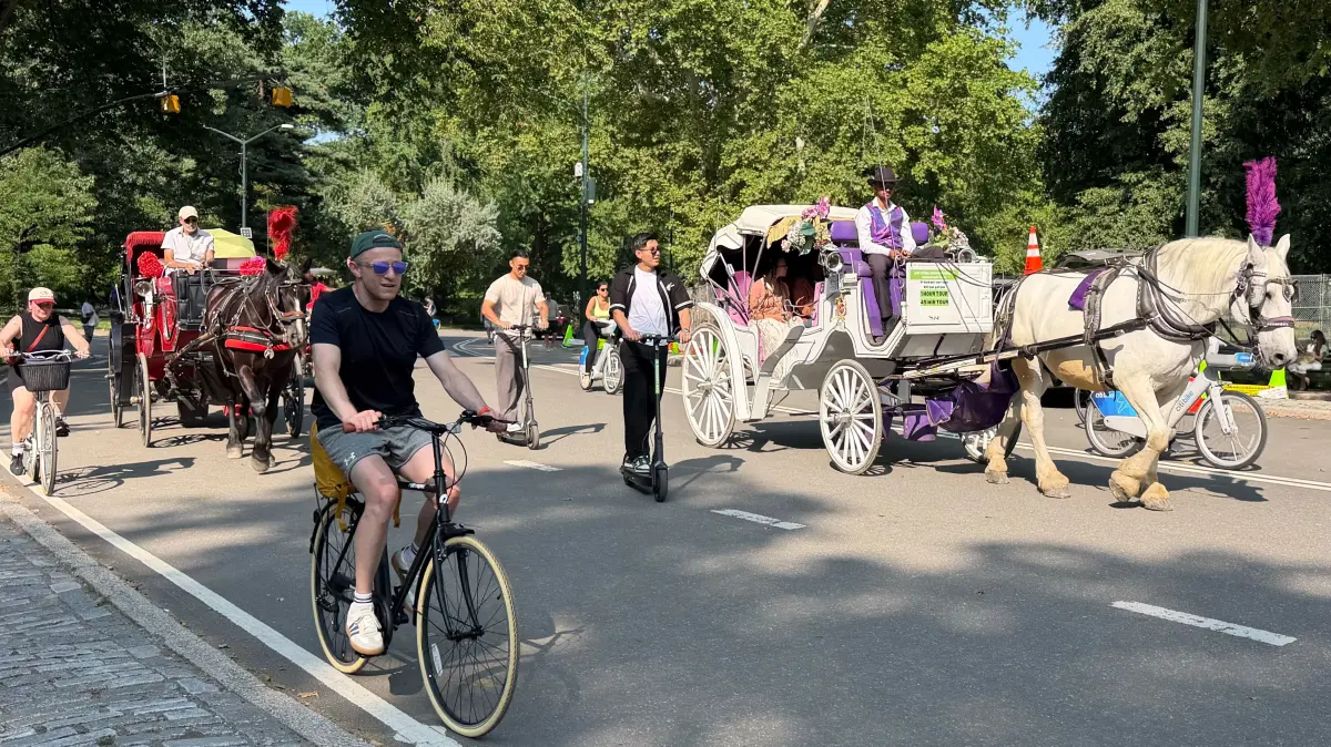 Pferdekutschen im Central Park droht das aus