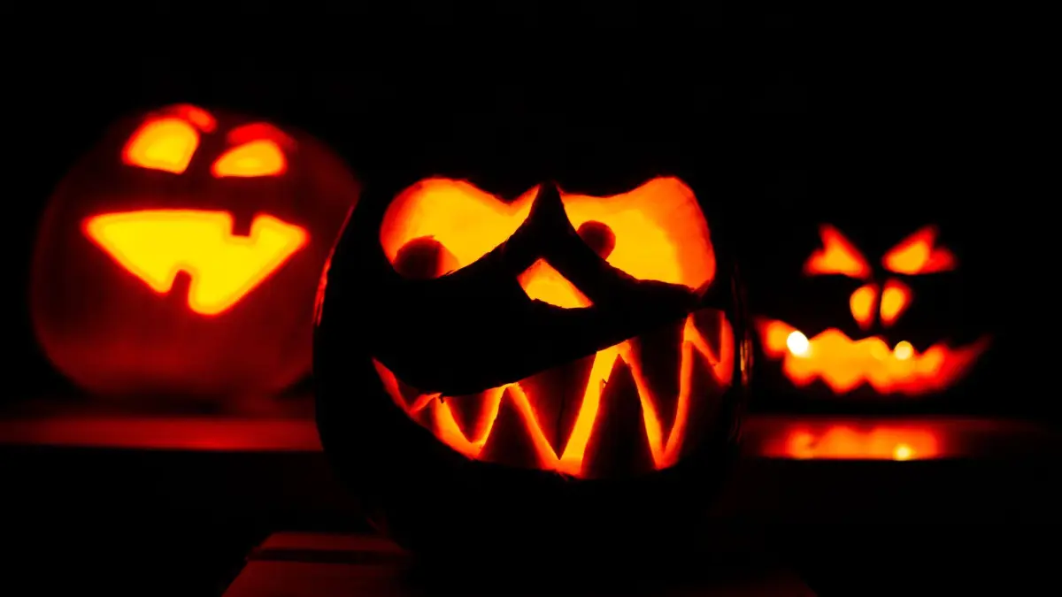 Kürbisköpfe: Drei geschnitzte Halloweenkürbisse werden mit Kerzen von innen beleuchtet. (zu dpa: «Wo man sich zu Halloween schön gruseln kann»)