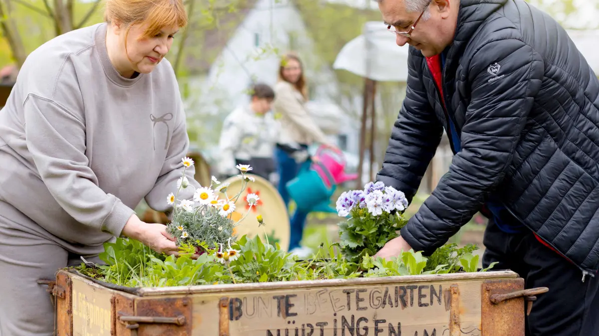 Das Foto zeigt zwei Personen, die gemeinsam Blumen in einem alten Holzwagen mit der Aufschrift 'Bunte Beetgarten Nürtingen am...' pflanzen. Im Hintergrund sind weitere Menschen und eine grüne Umgebung mit Bäumen und einem Gebäude zu sehen. Die Szene vermittelt eine gemeinschaftliche Gartenaktivität in einer ländlichen oder städtischen Grünfläche.