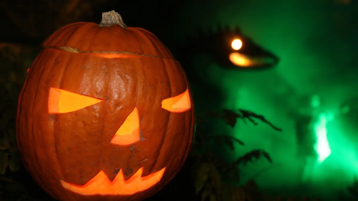 Angstforscher: Schaudern an Halloween wirkt wie Selbsttherapie: Ein Kuerbis als Halloween-Dekoration (Foto vom 03.11.16). Der Angstforscher Borwin Bandelow sieht im Schaudern an Halloween einen heilsamen Effekt fuer die Psyche. Erkenne der Mensch nach dem ersten Schreck das Ausbleiben einer echten Bedrohung, schuette der Koerper Endorphine aus und sorge so fuer ein gesteigertes Wohlbefinden, sagte Bandelow dem Evangelischen Pressedienst (epd). Er raet Eltern zu einem altersgerechten Mass fuer Kinder. (Siehe epd-Gespraech vom 27.10.2026) *** Local Caption *** 00364190