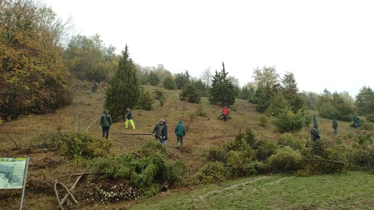 Landschaftspflegetag im Naturschutzgebiet Haarberg-Wasserberg (Landkreis Göppingen)